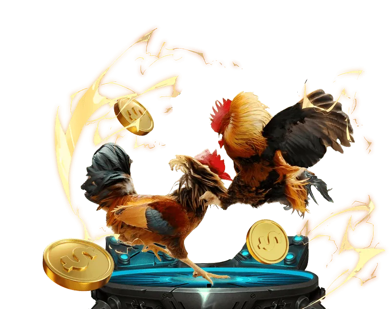 Cá cược có trách nhiệm Q88 Win